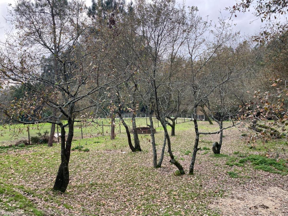 Villa Quinas Playground Souto da Carpalhosa Exterior foto